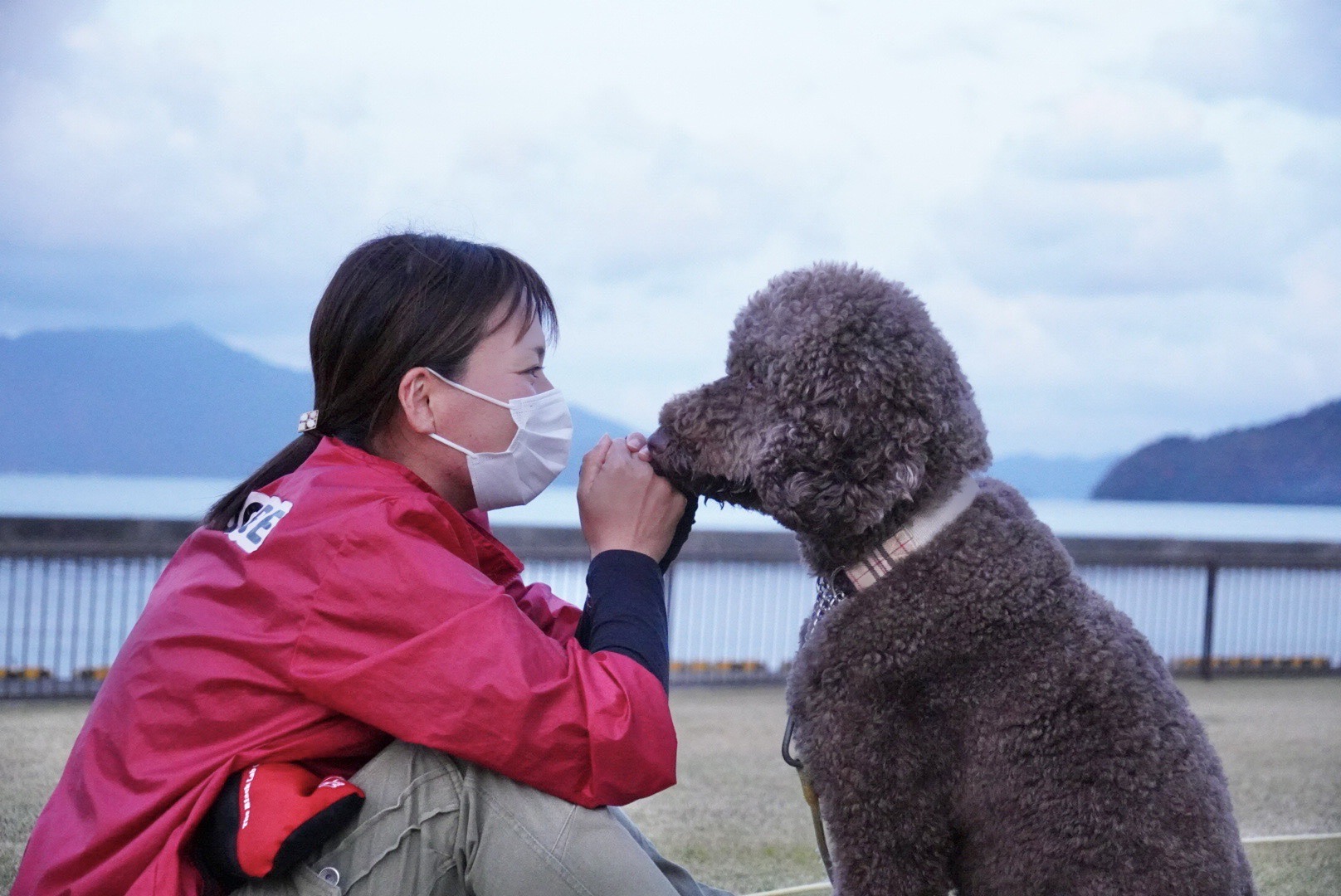犬と向き合う画像